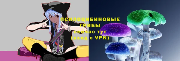 прущие грибы Покровск
