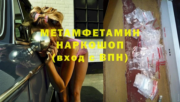 прущие грибы Покровск