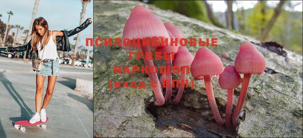 прущие грибы Покровск