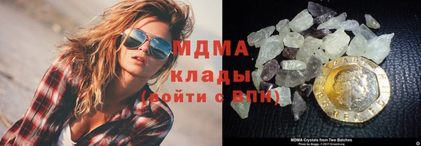 прущие грибы Покровск